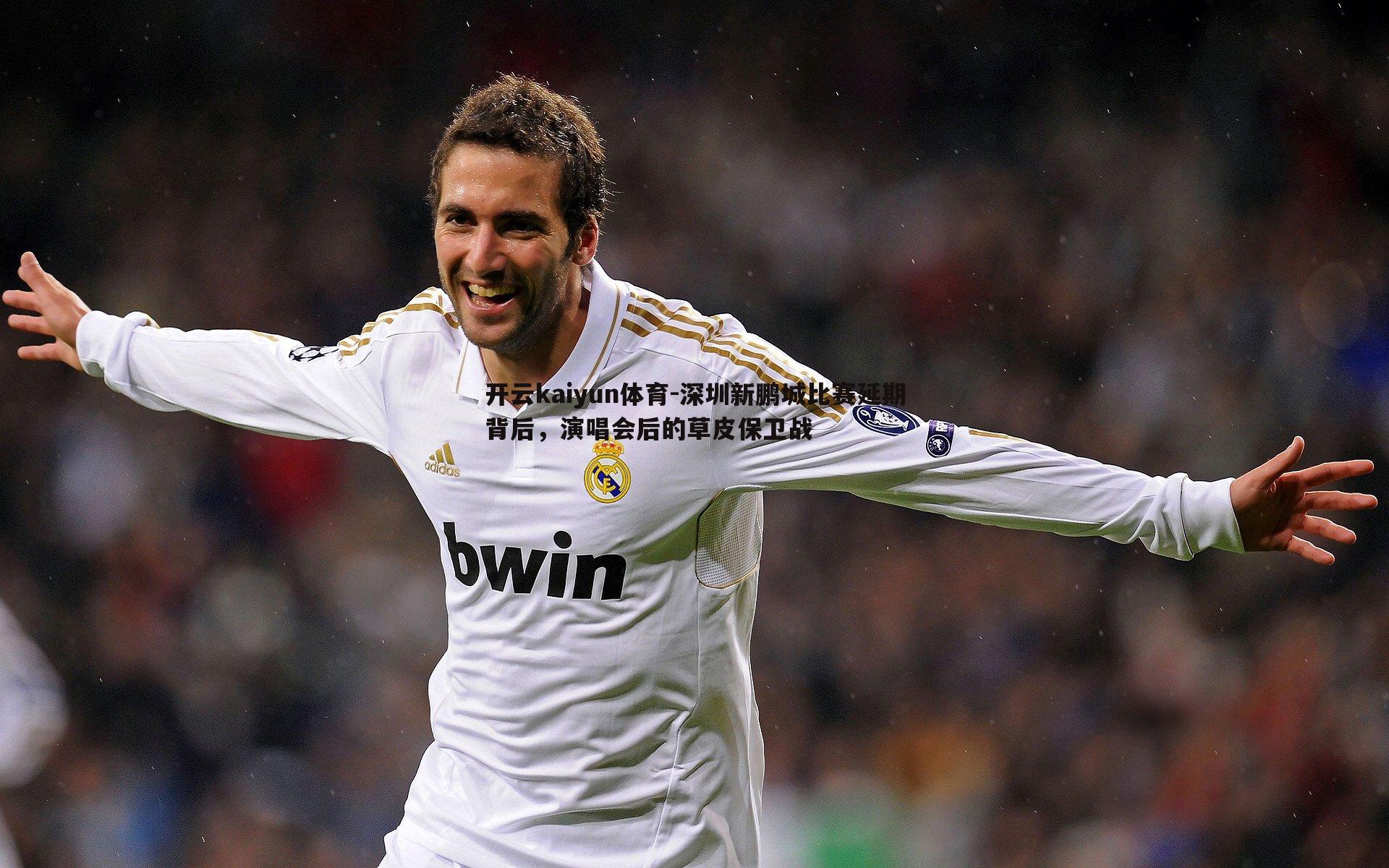 深圳新鹏城比赛延期背后,演唱会后的草皮保卫战